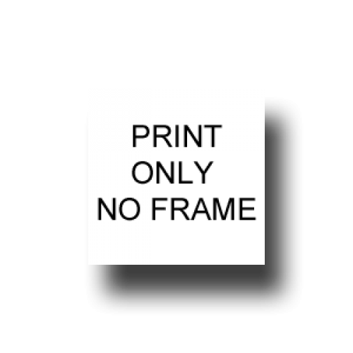 SQ 210x210mm  Print Only NO FRAME